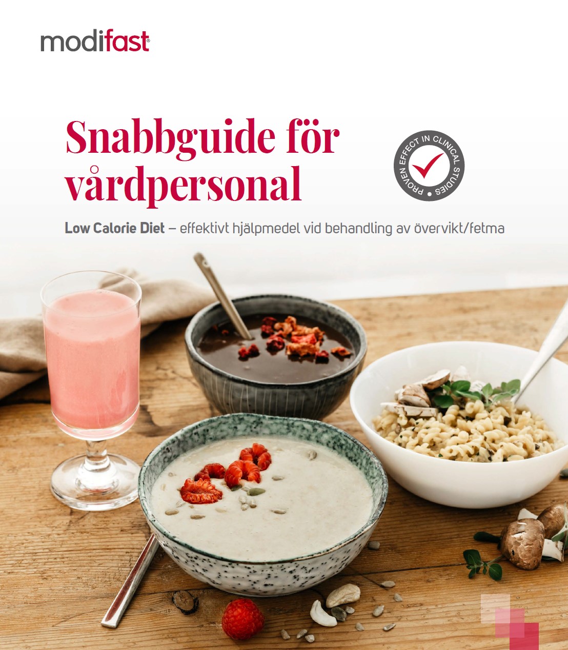 Snabbguide